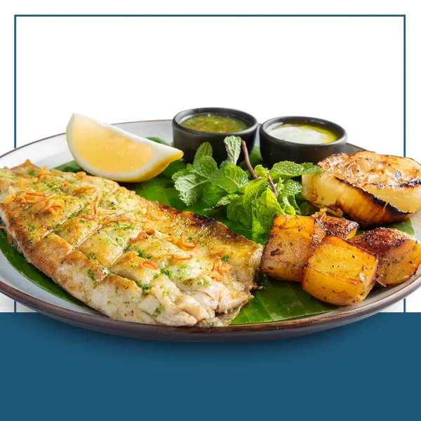 Seabass Grilled Fillet